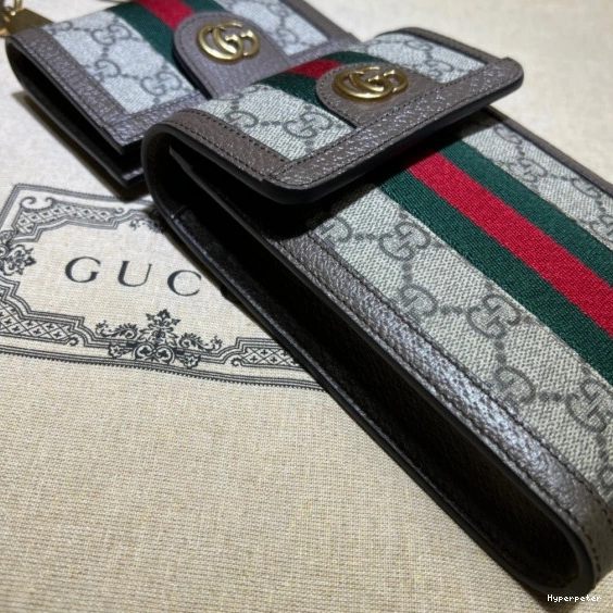 Hyperpeter detachable GUCCI GG wallet Ophidia and bag mini 0810